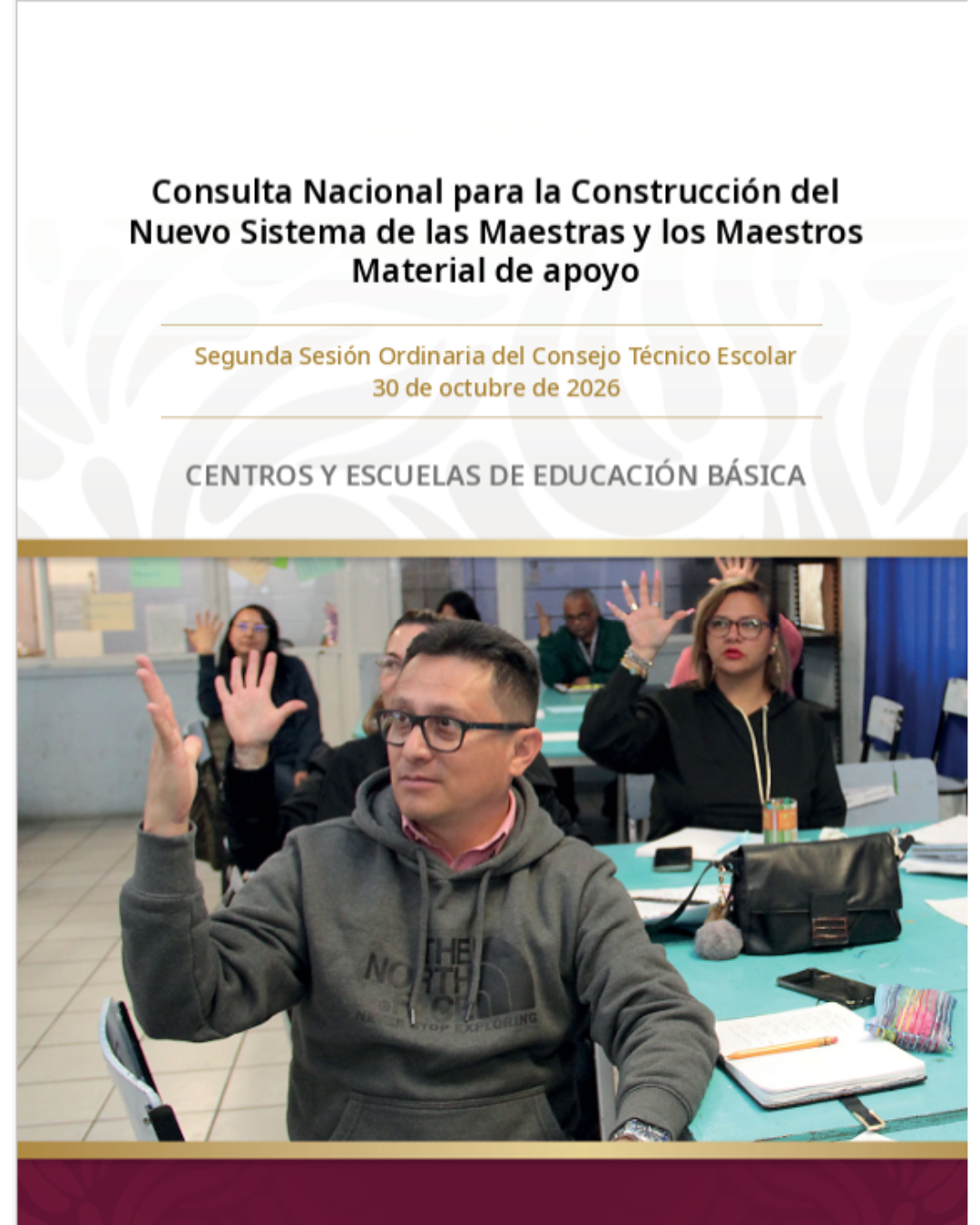 Material de apoyo para la Consulta. Segunda Sesión Ordinaria del CTE octubre 2026